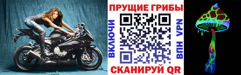 Псилоцибиновые грибы Magic Shrooms  Пугачёв 